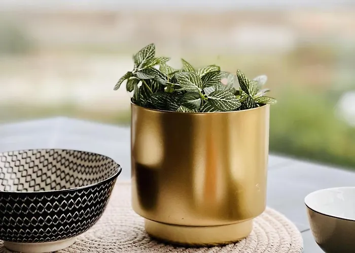 Les Deux Phares Appartement *